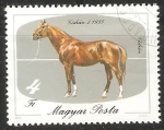 Stamps Hungary -  Gidran Chesnut 