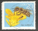 Stamps Germany -  Apis mellifica