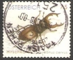 Stamps Austria -  Lucanus cervus