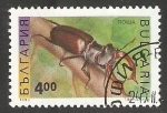 Stamps Bulgaria -  Lucanus cervus- escarabajos