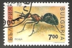 Stamps : Europe : Bulgaria :  Hormiga Rufa