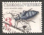 Stamps Czechoslovakia -  Meloe violaceus