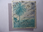 Sellos de Europa - Espa�a -  Ed:1731 - El Teide - Canarias.