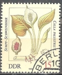 Stamps Germany -  Las plantas venenosas (Marsh oreja de cerdo, Calla palustris L.)DDR.
