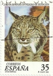 Stamps Spain -  (206) FAUNA ESPAÑOLA EN PELIGRO DE EXTINCIÓN. LINCE IBÉRICO, Lynx pardinus. EDIFIL 3529