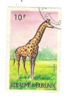 Sellos de Africa - Burundi -  1964 Burundi Animals