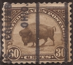 Sellos de America - Estados Unidos -  American Buffalo 1922 30 centavos