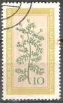 Stamps Germany -  plantas medicinales terapéuticas, manzanilla (DDR).