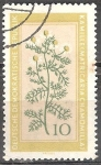 Sellos de Europa - Alemania -  plantas medicinales terapéuticas, manzanilla (DDR).