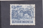 Stamps Indonesia -  kantjil
