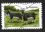 Sellos de Europa - Francia -  Cabras de Nuestra Región