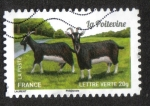 Stamps France -  Cabras de Nuestra Región