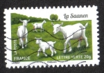 Stamps France -  Cabras de Nuestra Región