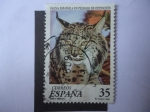 Sellos de Europa - Espaa -  Ed: 3529 - Lince Iberico - Fauna Española en piligro de extinció.n