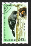 Stamps : Asia : North_Korea :  Precervación  Pájaro carpintero