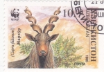 Stamps Uzbekistan -  CABRA FALCONERI