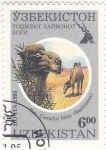 Stamps Asia - Uzbekistan -  CAMELLOS