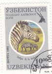 Stamps Asia - Uzbekistan -  CEBRAS
