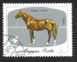 Stamps Hungary -  Horses (1985)