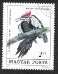 Stamps Hungary -  Birds (1985)