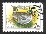 Stamps Hungary -  Birds (1988)
