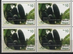 Stamps Nepal -  ABIES  SPECTABILIS