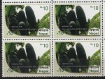 Sellos de Asia - Nepal -  ABIES  SPECTABILIS