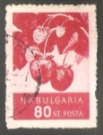 Stamps Bulgaria -  Fragaria ananassa