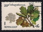 Sellos de Europa - Rusia -  Roble