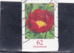 Stamps Germany -  flores- paeonia anomala