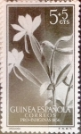 Sellos de Europa - Espa�a -  Intercambio xxxx 0,25 usd 5 + 5 cents. 1956