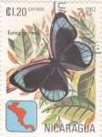 Sellos de America - Nicaragua -  mariposa