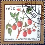 Stamps : Asia : Mongolia :  Intercambio cr2f 0,25 usd 60 m. 1987