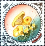 Stamps : Asia : Mongolia :  Intercambio nf2b 0,20 usd 30 m. 1985