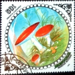 Stamps : Asia : Mongolia :  Intercambio nf2b 0,25 usd 50 m. 1985