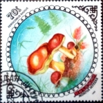 Stamps Mongolia -  Intercambio cr2f 0,30 usd 70 m. 1985