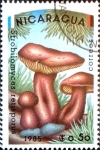 Stamps Nicaragua -  Intercambio nf5xb 0,20 usd 0,50 córdobas 1985