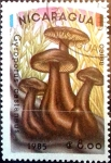 Stamps Nicaragua -  Intercambio cr3f 0,40 usd 8,00 córdobas 1985