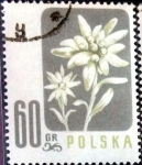 Stamps Poland -  Intercambio 0,20 usd 60 g. 1957