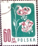Stamps : Europe : Poland :  Intercambio nfxb 0,20 usd 60 g. 1957