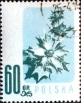 Sellos de Europa - Polonia -  Intercambio nfxb 0,20 usd 60 g. 1957