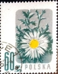Stamps Poland -  Intercambio m1b 0,20 usd 60 g. 1957