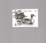 Stamps : Europe : Russia :  patos
