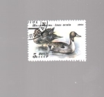 Stamps Russia -  patos