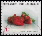 Stamps Belgium -  SG 4119
