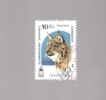 Stamps Russia -  lince