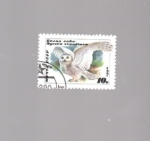Stamps Russia -  buho