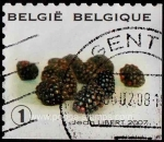 Stamps Belgium -  SG 4127