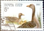 Stamps Russia -  Intercambio m1b 0,20 usd 5 k. 1989