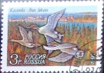 Sellos de Europa - Rusia -  Intercambio cr2f 0,20 usd 3 r. 1992